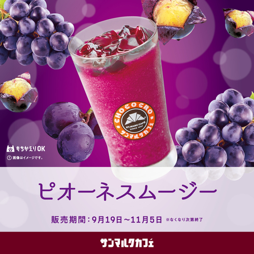 岡山県産ピオーネスムージー　画像