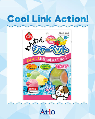 ペットの専門店コジマ　Cool Link Action!