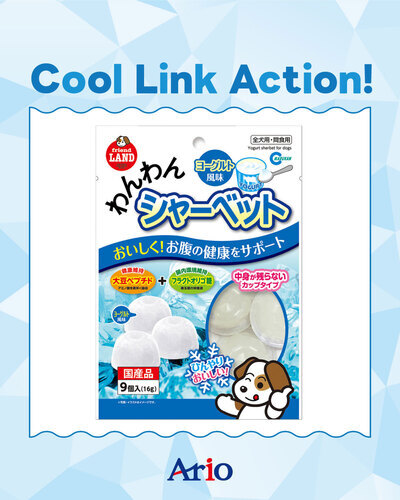 ペットの専門店コジマ　Cool Link Action!