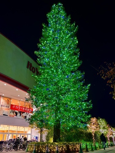 イルミネーション　ツリー　画像