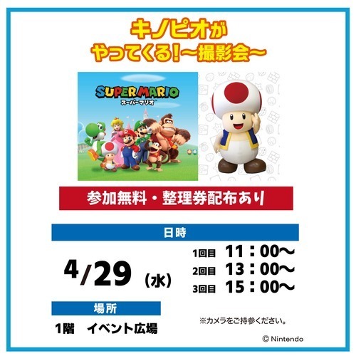 キノピオ　撮影会　画像