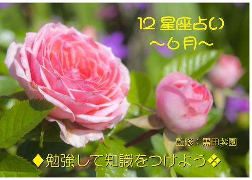 ２０２５年　６月　１２星座占い
