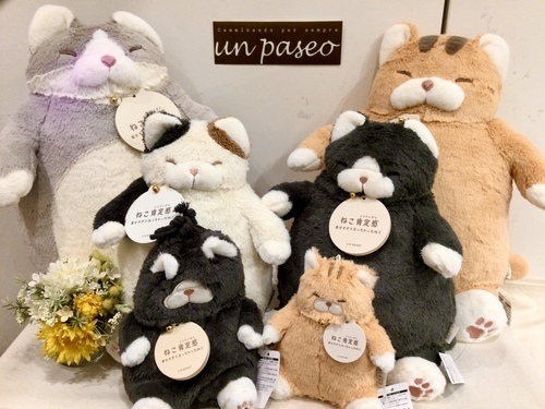 ねこ肯定感
