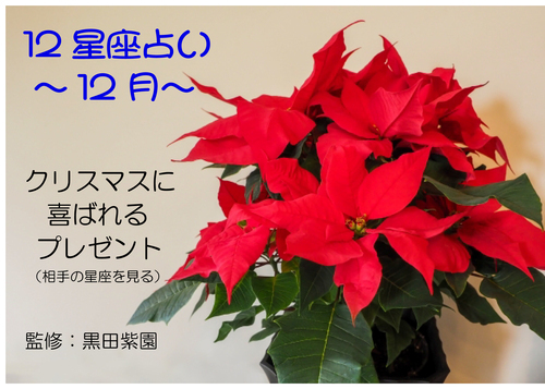２０２５年　１２月　１２星座占い