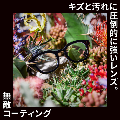 無敵コーティング画像