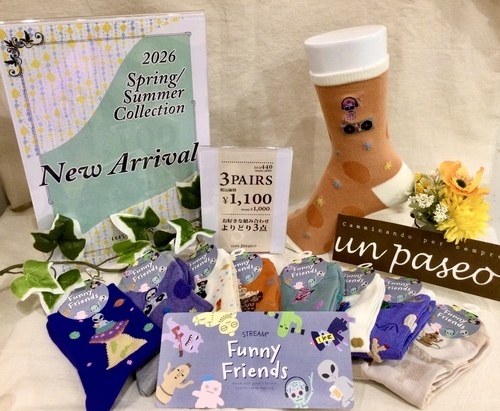 ＊新作靴下【Funny Friends】＊