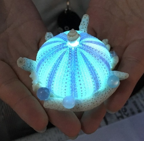 メゾンカルチャークラブ 西新井｜フロアガイド｜アリオ西新井