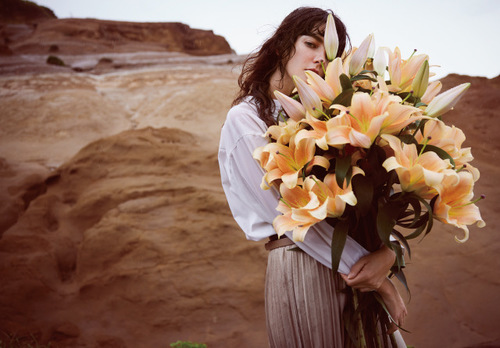 Opaque Clip フロアガイド アリオ西新井 Opaque Clip フロアガイド アリオ西新井